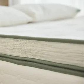 AVOCADO GREEN MATTRESS:   THE ULTIMATE ORGANIC MATTRESS  | Plush Box top Model