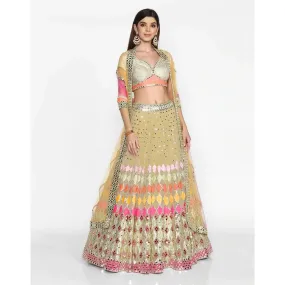 Beige Color Lehenga Choli in Soft Net Fabrics and Embroidery Work