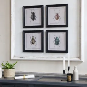 Brockby Set of Four Beetle Wall Art 38cm