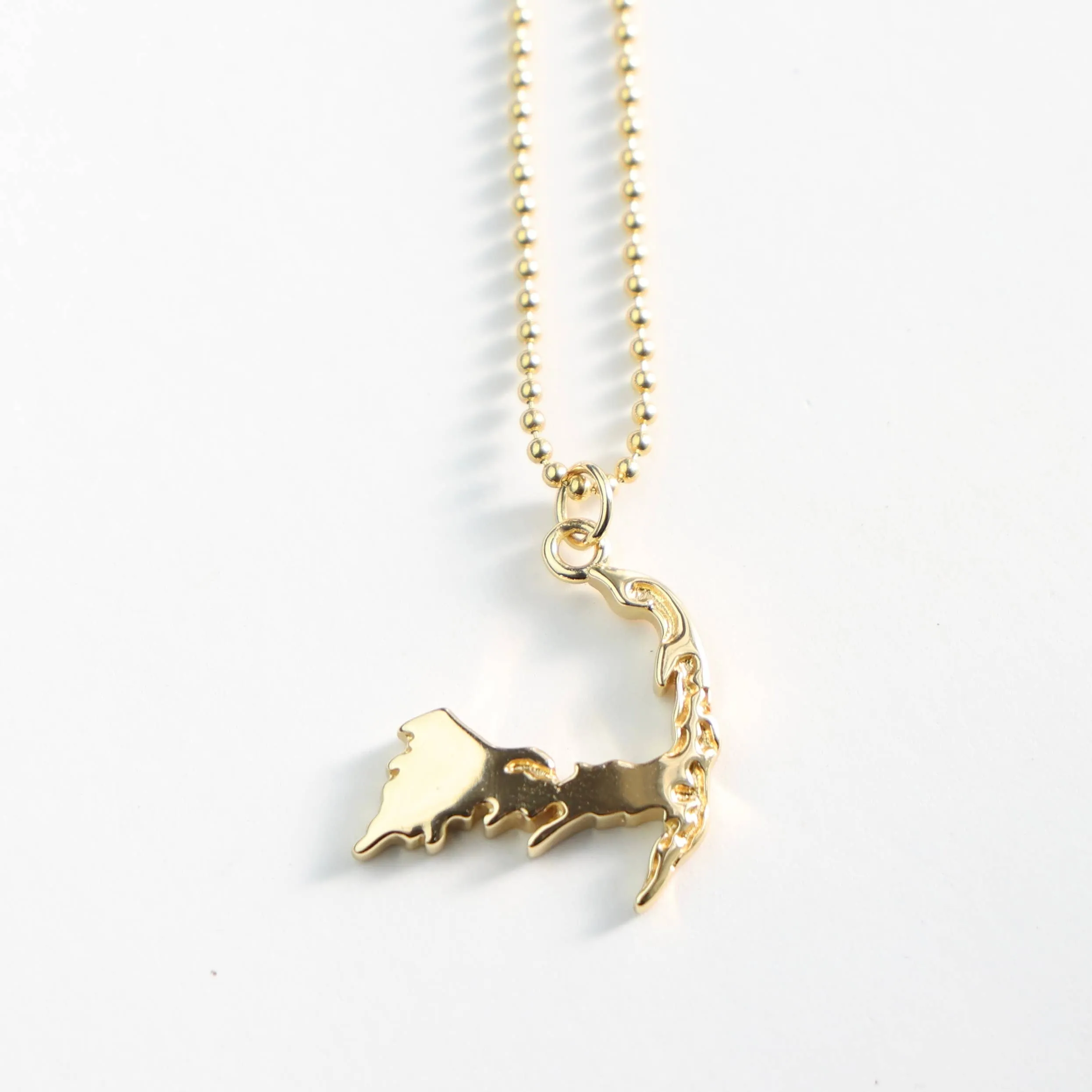 Gold Filled Cape Cod Charm Necklace