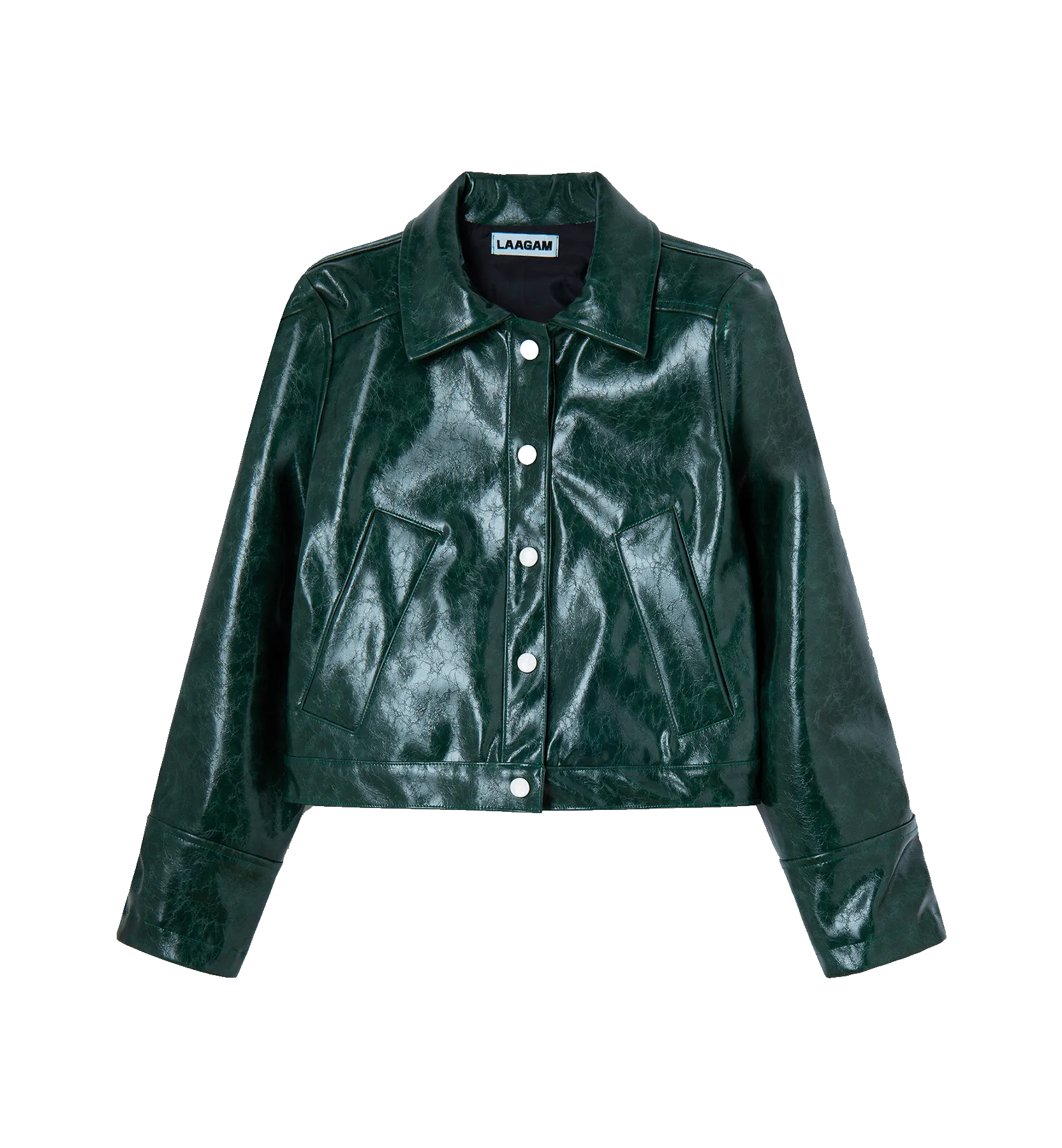 Laagam Alexa Faux Leather Jacket