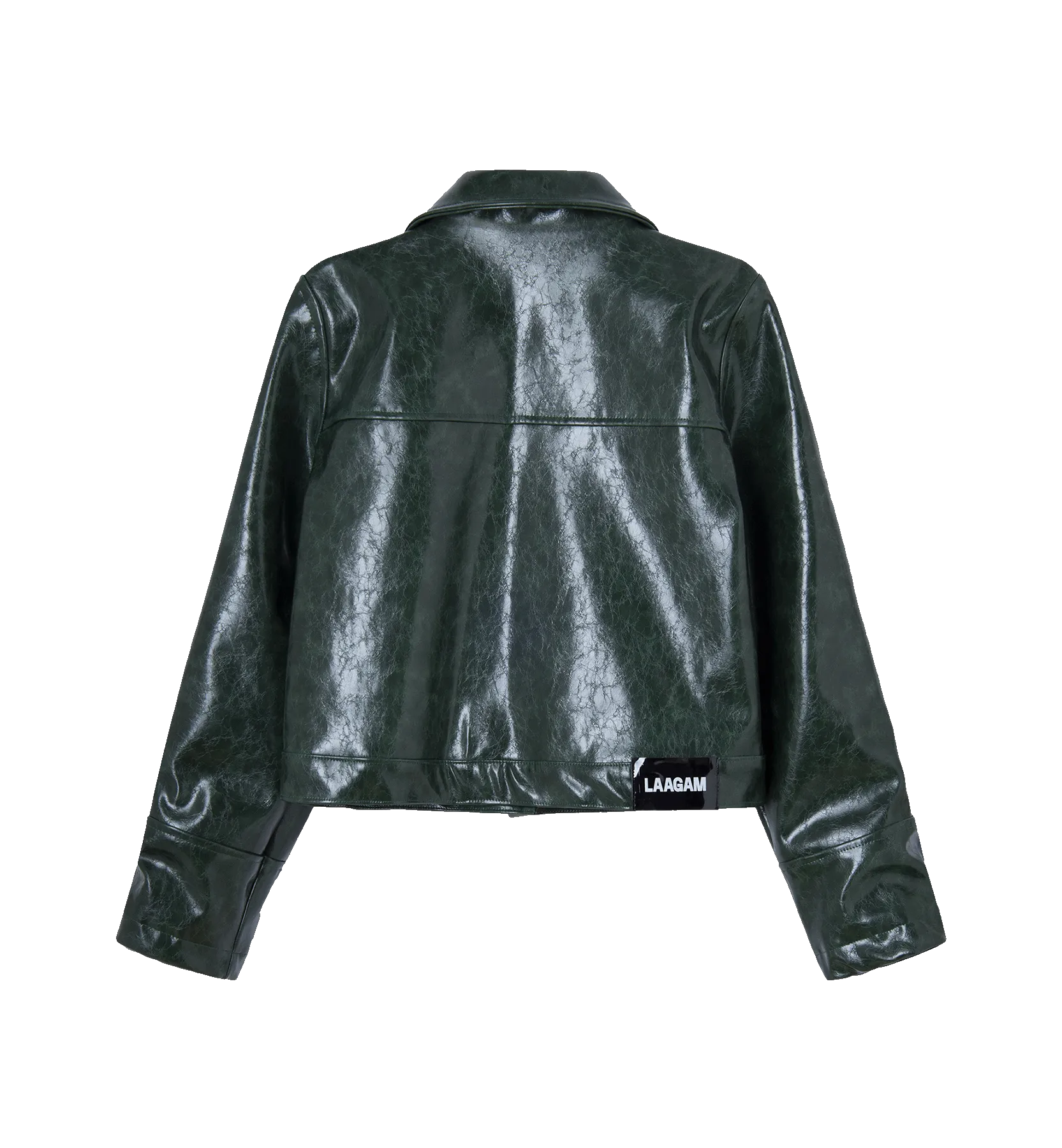 Laagam Alexa Faux Leather Jacket