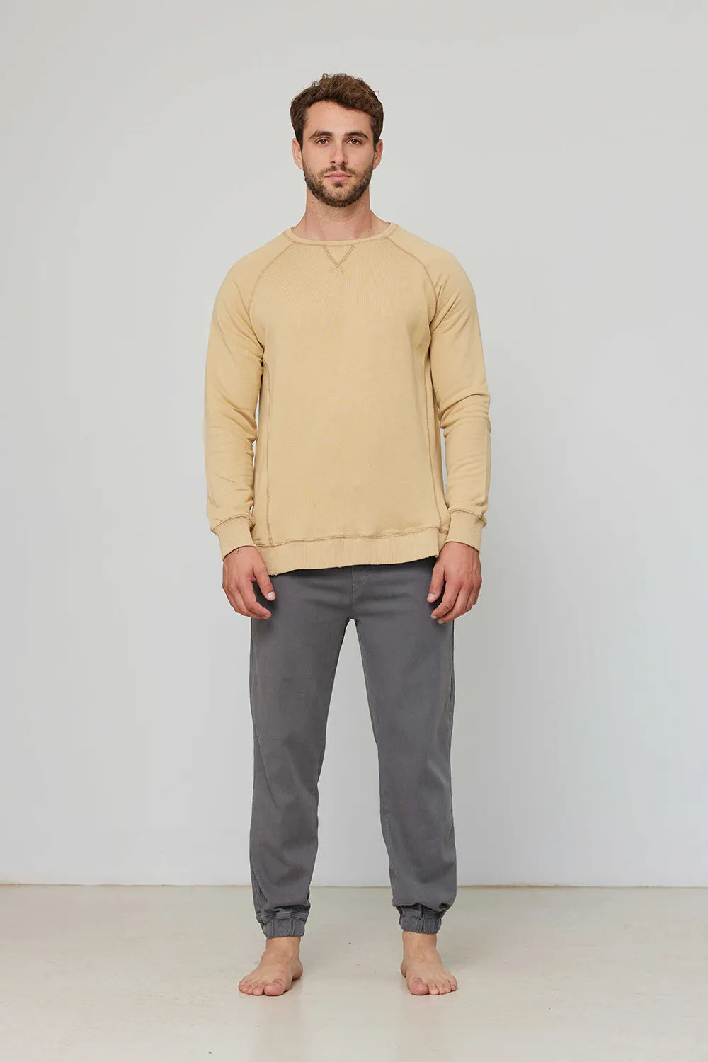 Men Sweatshirt Sand