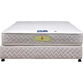 Sobha Restoplus Mattress Genteel - PU Foam