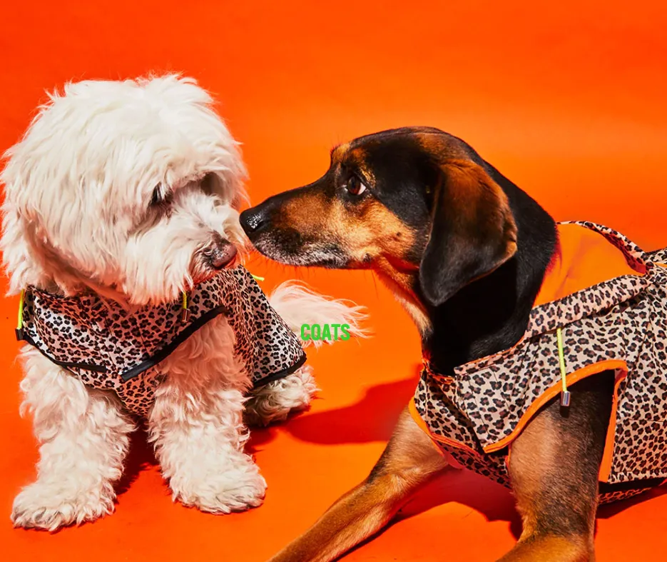 Ware of the Dog New York Leopard Print Raincoats with Hood in 2 Colour Waves - Neon Orange & Black/White